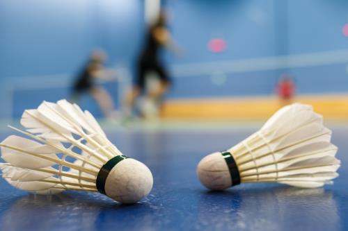 After School Coed Badminton (Grades 6-9)