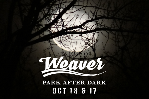 Weaver Park After Dark
