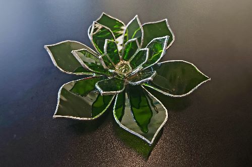 Intermediate Stained Glass - 3D Succulent (16+)