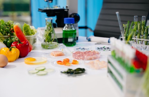 Taste of Science Camp